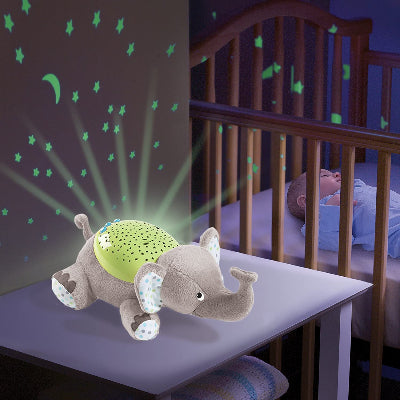 COMPAÑEROS DE DORMIR